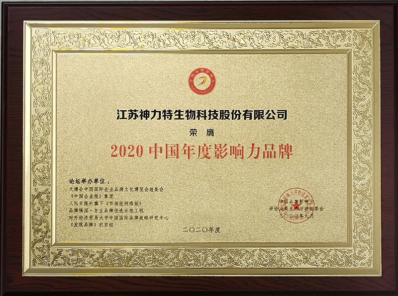 6、2020中國年度影響力品牌.jpg